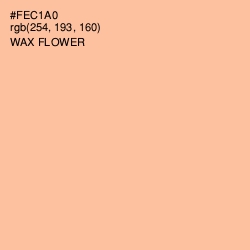 #FEC1A0 - Wax Flower Color Image